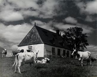 Saint-Laurent (Ile d'Orleans) - Maison Gendreau