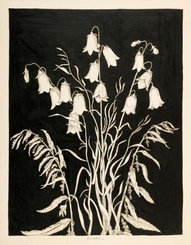 Bluebell