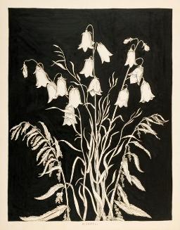Bluebell