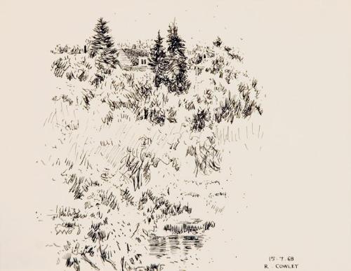 Untitled (house and fir trees)