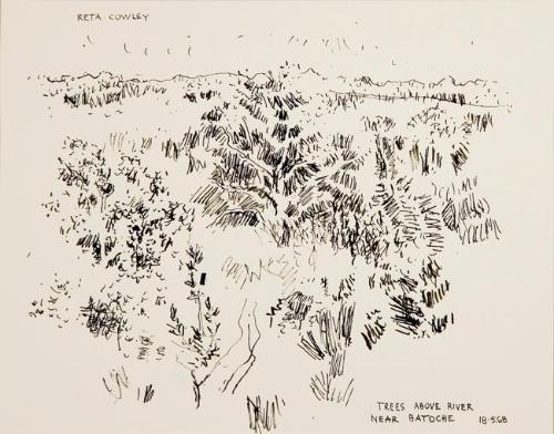 Trees above River near Batoche