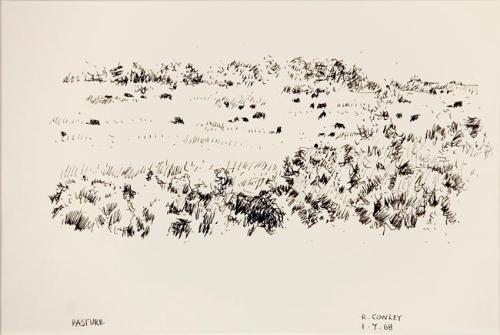 Pasture