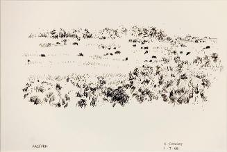 Pasture