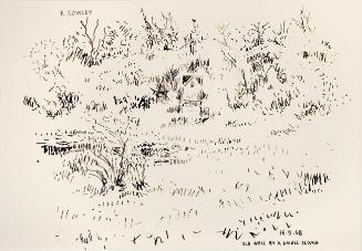 Old Well by a Small Slough