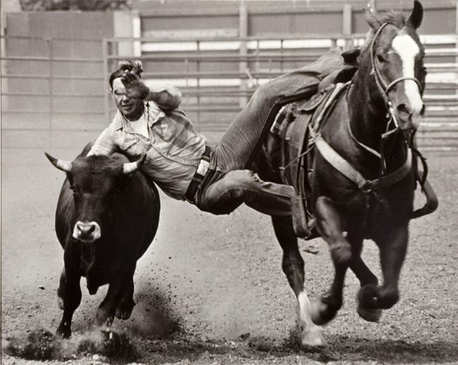 Bull Dogger Saskachimo Rodeo 1972
