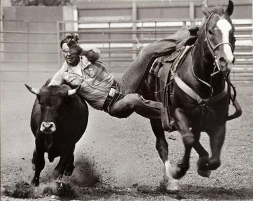 Bull Dogger Saskachimo Rodeo 1972