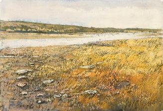 River Bottom