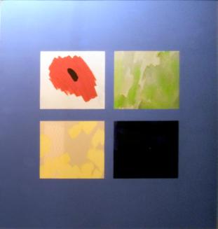 Window