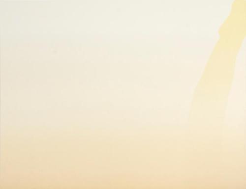 Walker Burn Series #5
