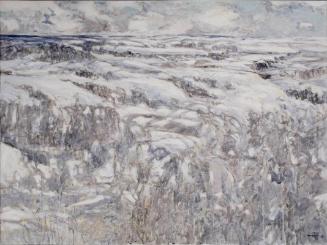 Saskatchewan North Country
