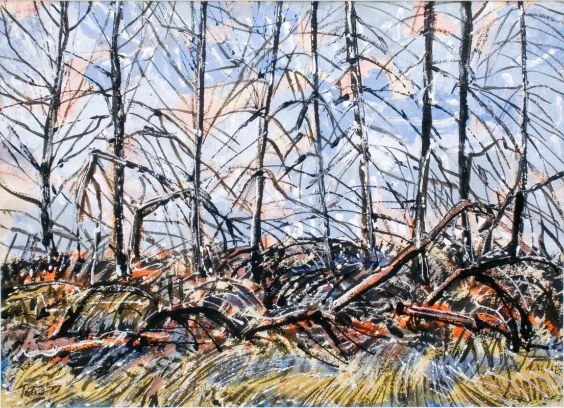 After the Fire