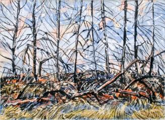 After the Fire
