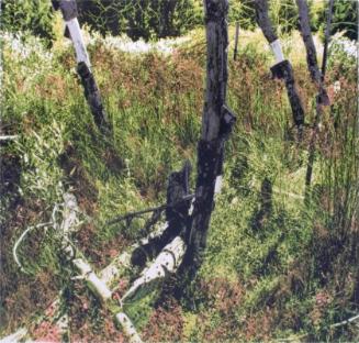© Judith Gouin. Copyright Visual Arts-CARCC, 2021
