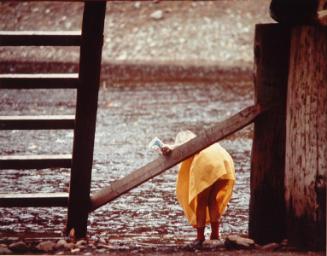 Untitled (young girl and fence)