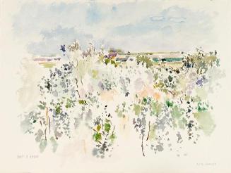 Silverberry Bushes, Evening, July 7, 1980