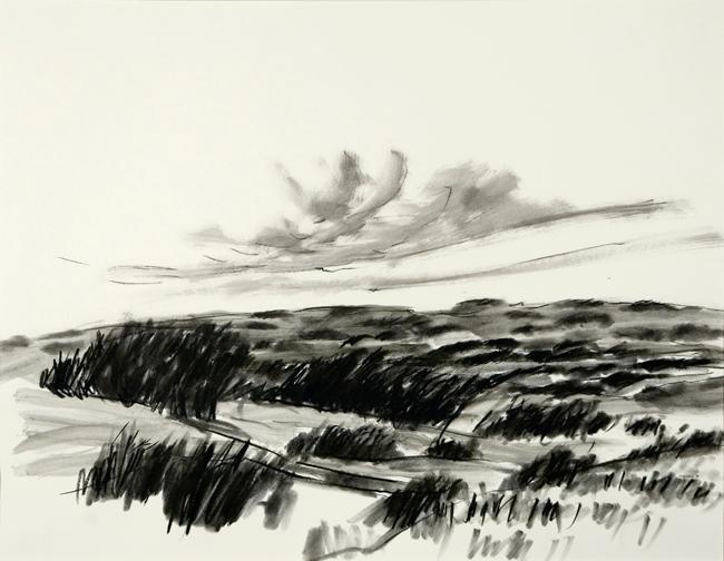 Land I