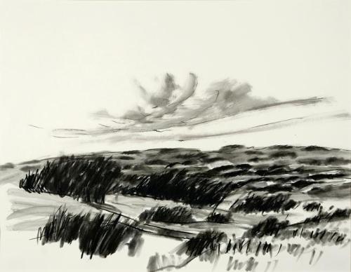 Land I