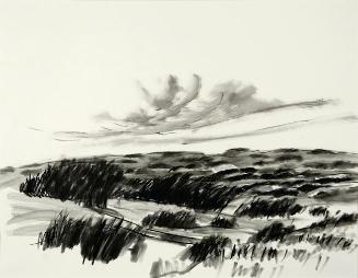 Land I