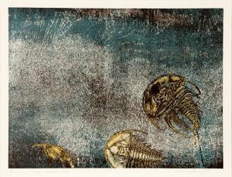 Trilobites 2 (Western Canadian Series)