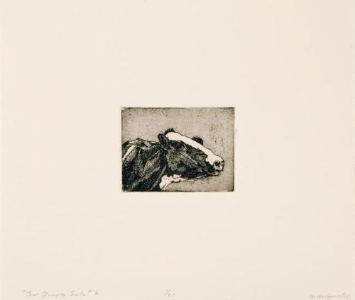 Cow Glimpse Suite #2