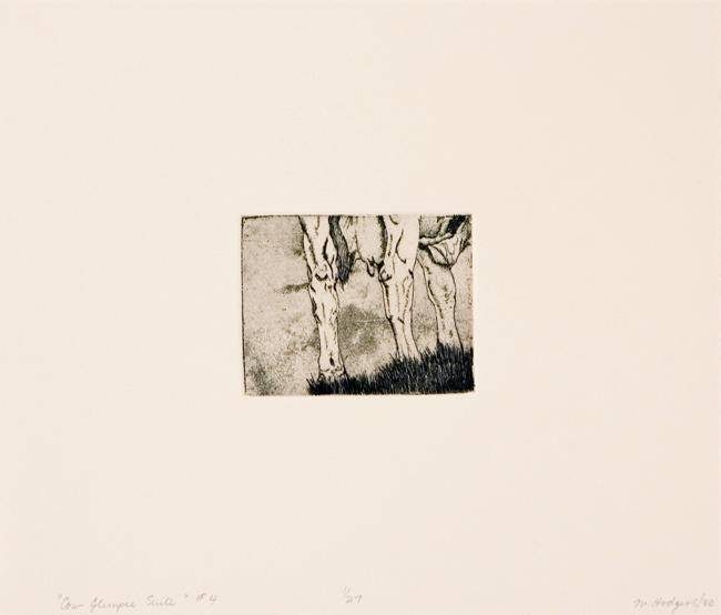 Cow Glimpse Suite #4