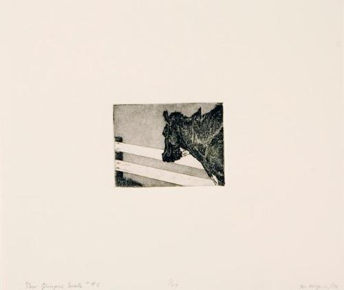 Cow Glimpse Suite #5