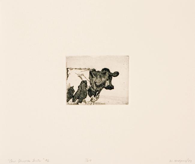 Cow Glimpse Suite #6
