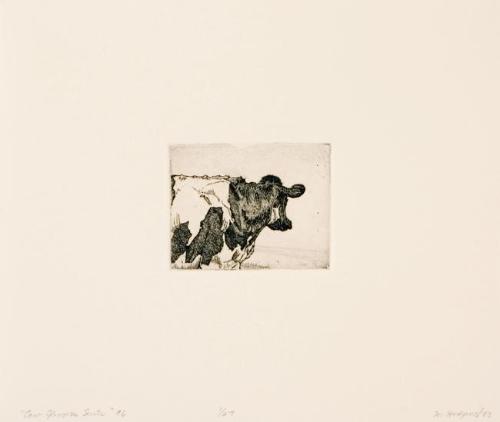 Cow Glimpse Suite #6