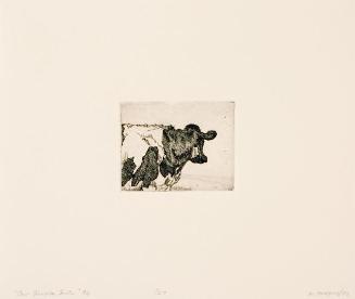 Cow Glimpse Suite #6