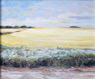 Rapeseed near Blaine Lake, Sask.