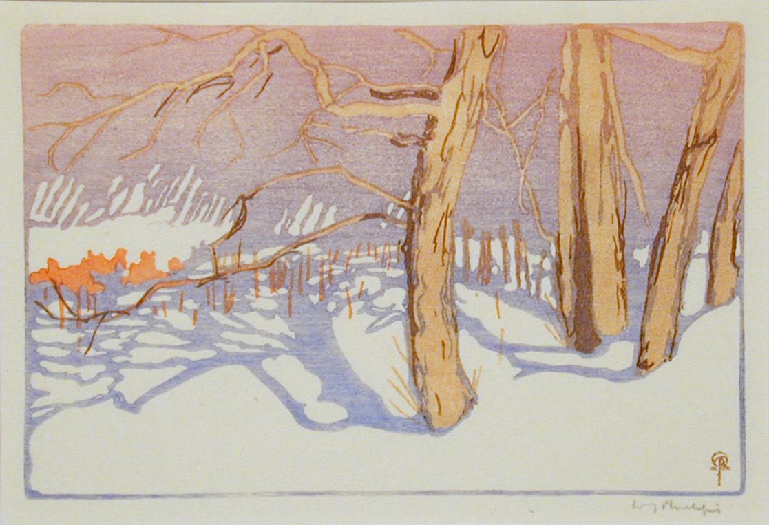 Tree Shadows on Snow