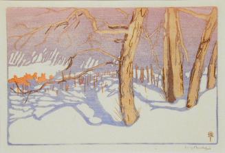 Tree Shadows on Snow