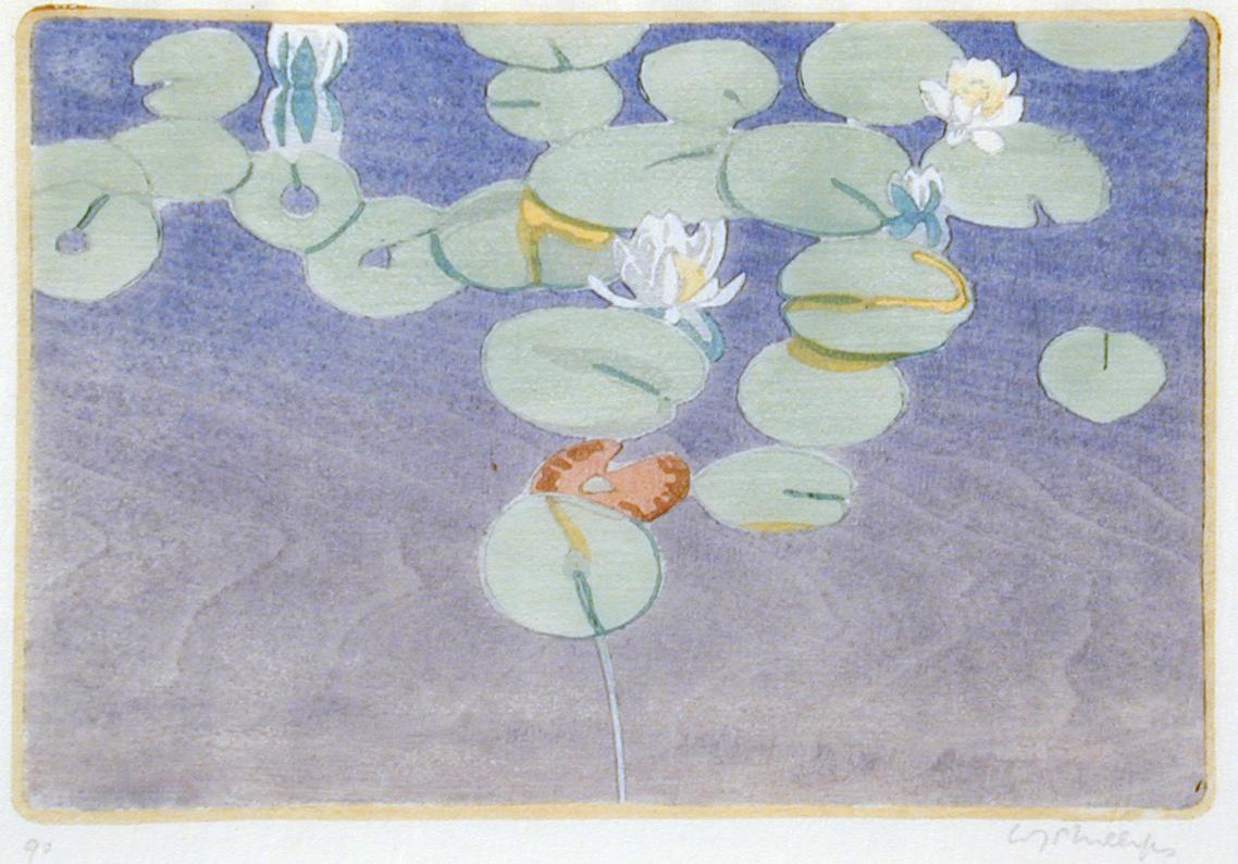 Water Lilies