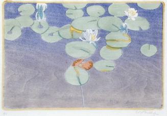 Water Lilies