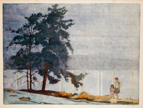 Summer Night