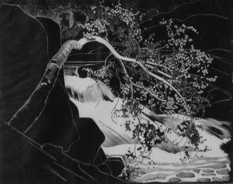 Rushing River, Lake of the Woods
