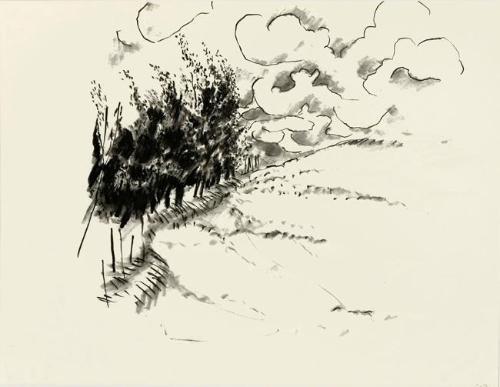 Windbreak