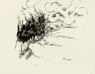 Windbreak