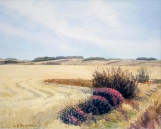 Untitled (wheatfield and bushes)