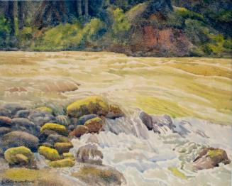 Untitled (rapids and rocks)