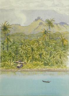 Untitled (man boating in tropics)