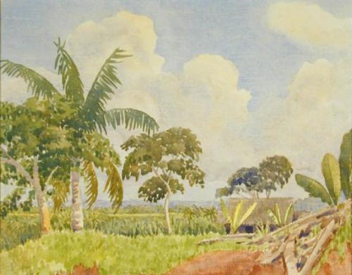 Untitled (tropical landscape)