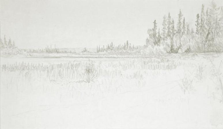 Untitled (lakeside path and trees)