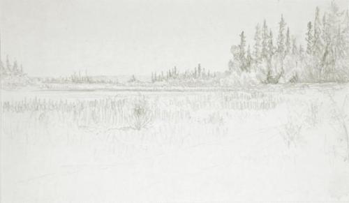 Untitled (lakeside path and trees)