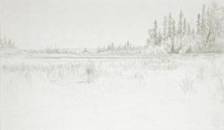 Untitled (lakeside path and trees)