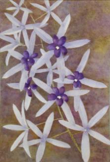 Untitled (branch of purple flowers)