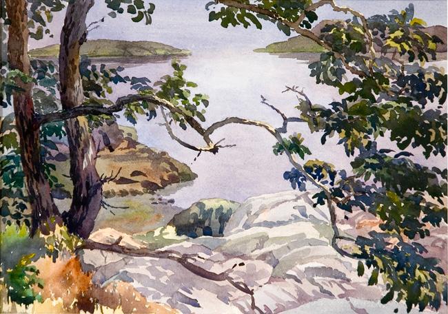 Untitled (twisted trees, rocks, water)