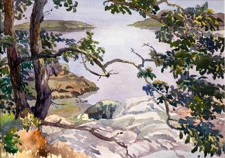 Untitled (twisted trees, rocks, water)