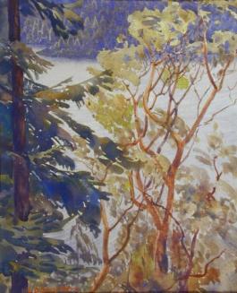 Untitled (lake through trees)