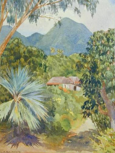 Untitled (tropical forest with house)